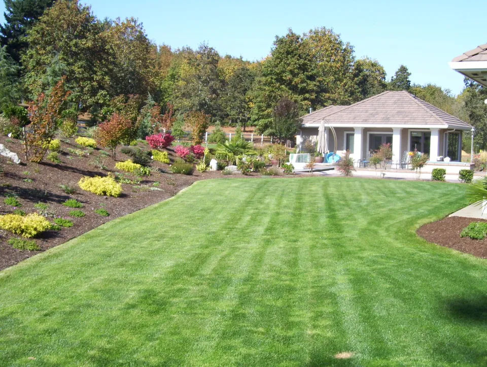 Landscape Design & Planting