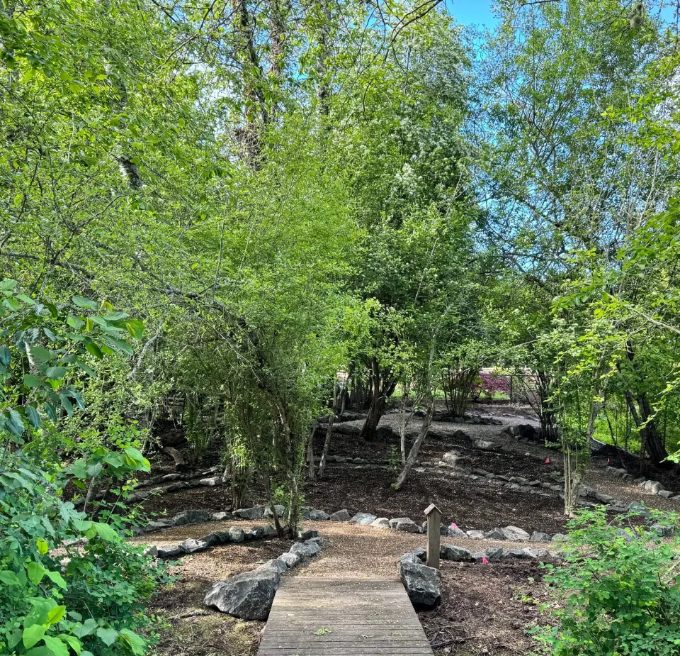 Landscape Design & Planting project by Davidson's Landscape