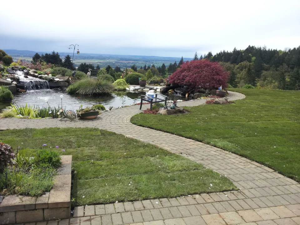 Ponds & Water Features project by Davidson's Landscape