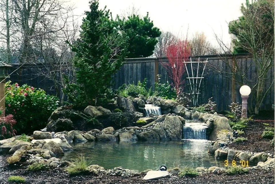 Ponds & Water Features project by Davidson's Landscape
