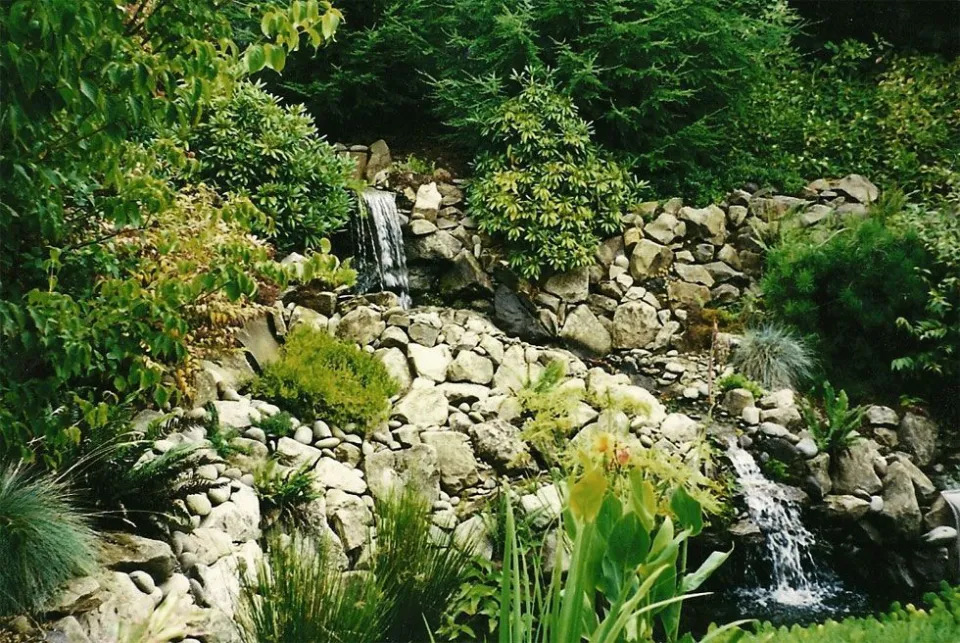 Ponds & Water Features project by Davidson's Landscape