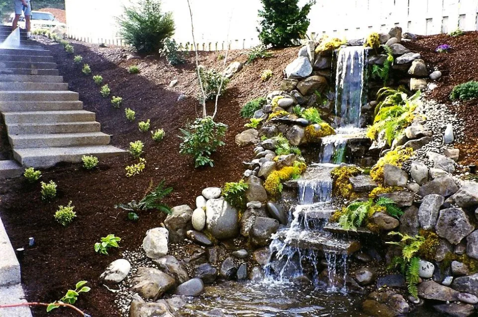 Ponds & Water Features project by Davidson's Landscape