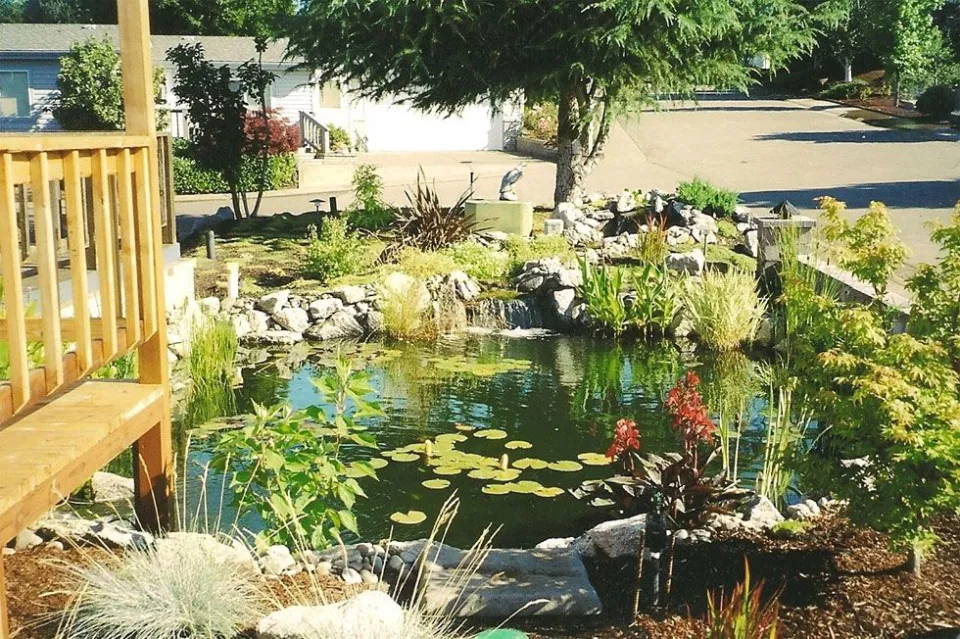 Ponds & Water Features project by Davidson's Landscape