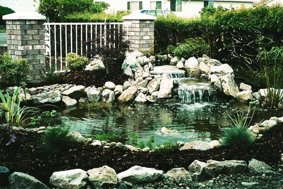 Ponds & Water Features project by Davidson's Landscape
