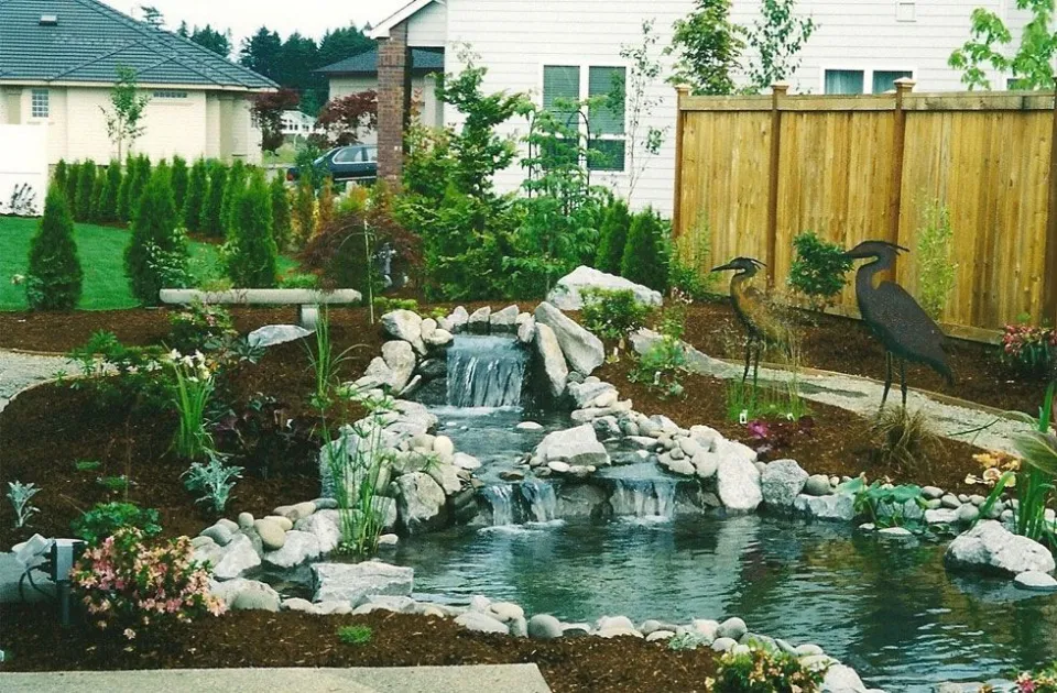 Ponds & Water Features project by Davidson's Landscape