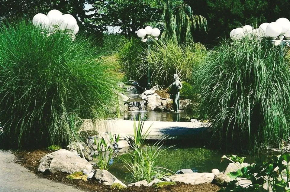 Ponds & Water Features project by Davidson's Landscape