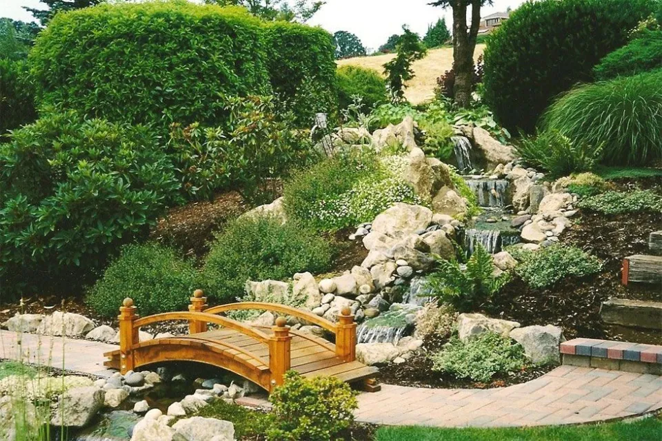 Ponds & Water Features project by Davidson's Landscape