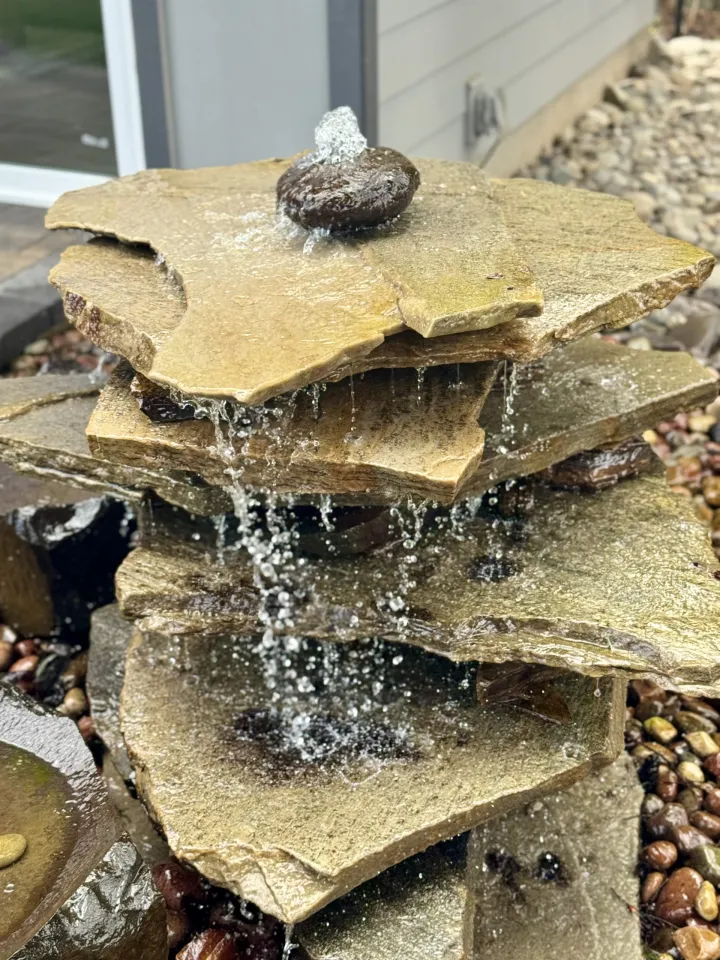 Water Feature